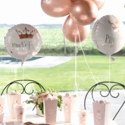 Discount Ballons Anniversaire Princesse 30 Cm X6 Pi Ces Theme Deco Princesse