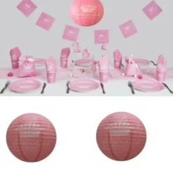 Boule Lanterne En Papier Princesse 30Cm X 2 Pi Ces Theme Deco Princesse