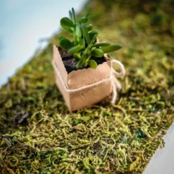 Best Chemin De Table Mousse Sur Jute 20Cm Theme Jute