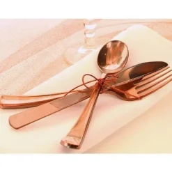 Badaboum Couvert Jetable En Plastique Couleur X 30 Pi Ces